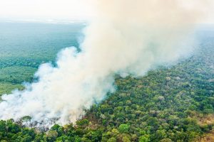AMAZONIA