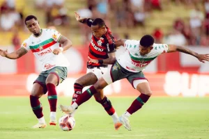 FLAMENGO